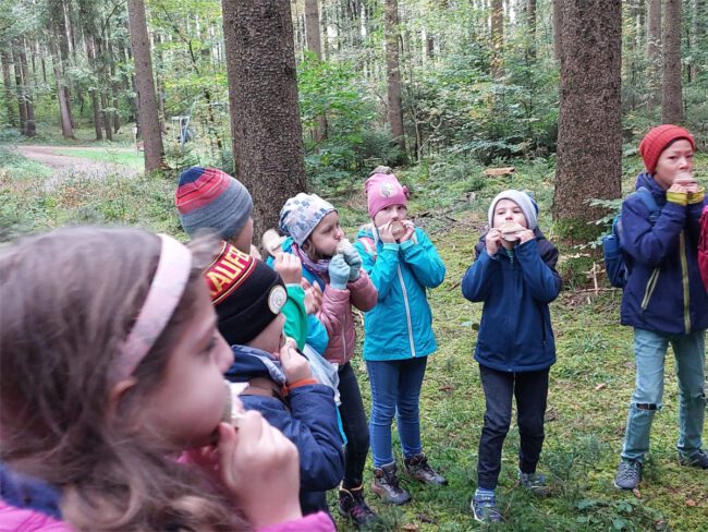 Walderlebnistag1