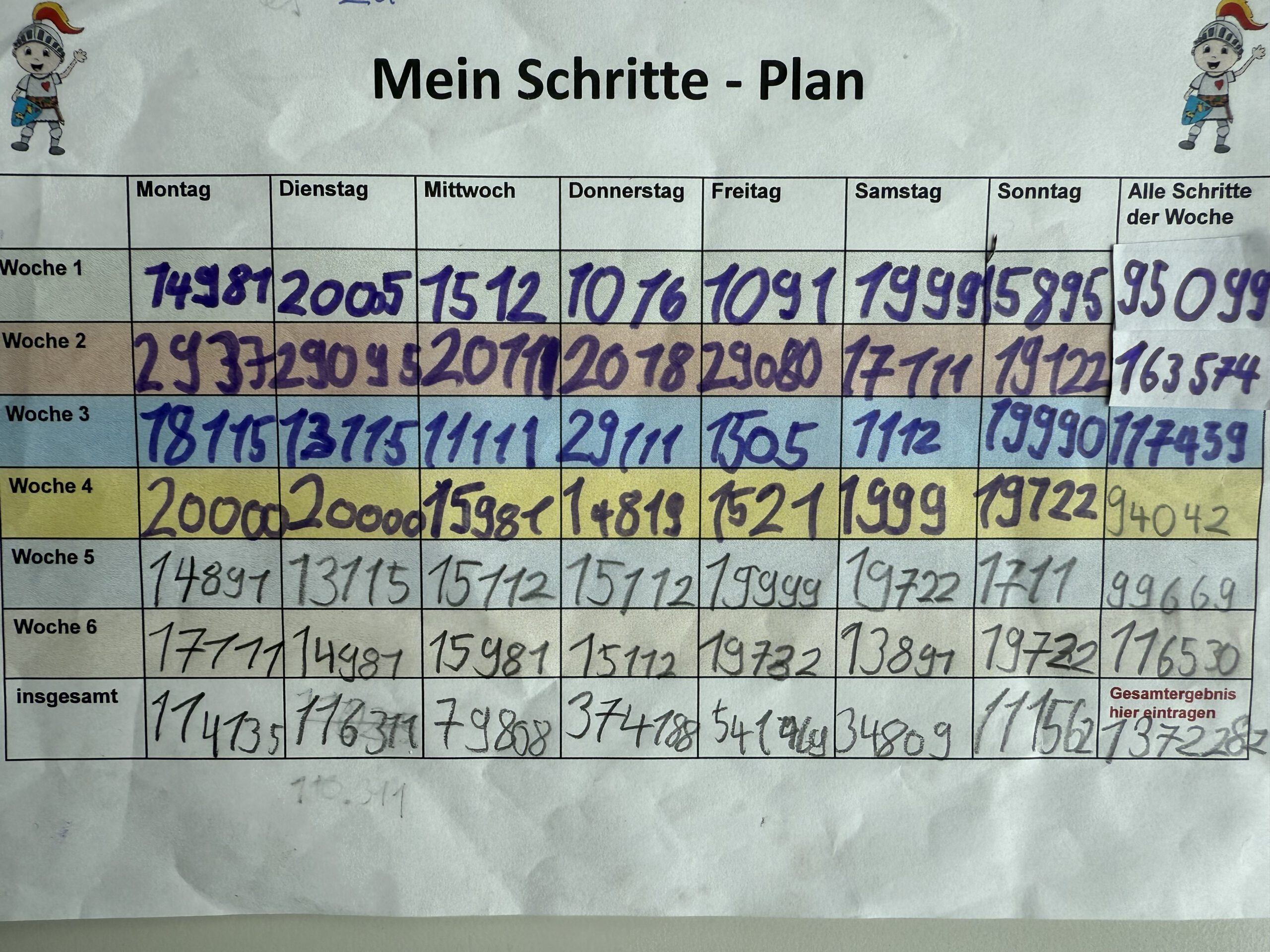 Mein Schritte-Plan